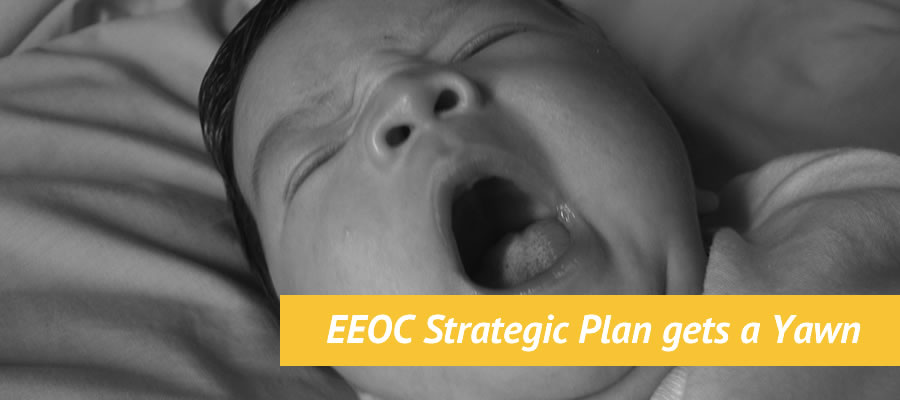 EEOC Strategic Plan Image