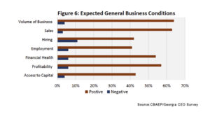 Business Expectations - Georgia CEO Graph